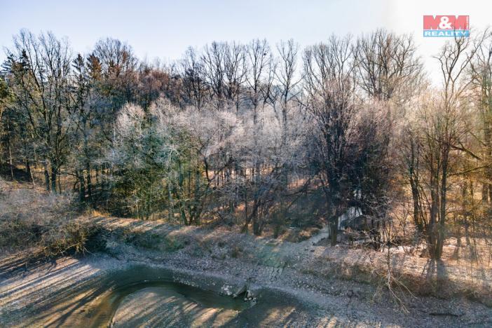 Prodej lesa, Horšovský Týn, 685 m2