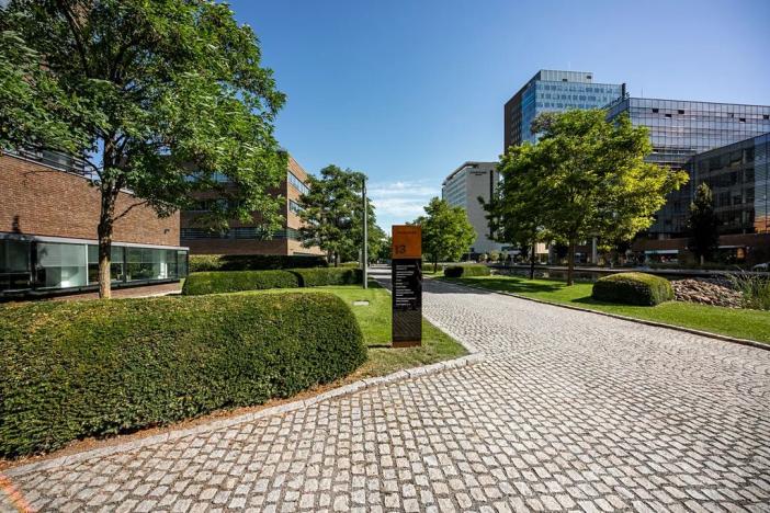 Pronájem kanceláře, Brno, Holandská, 421 m2