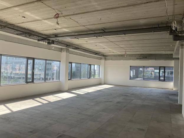 Pronájem kanceláře, Brno, Holandská, 872 m2