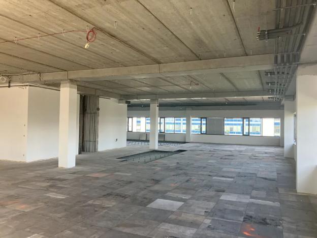 Pronájem kanceláře, Brno, Holandská, 872 m2