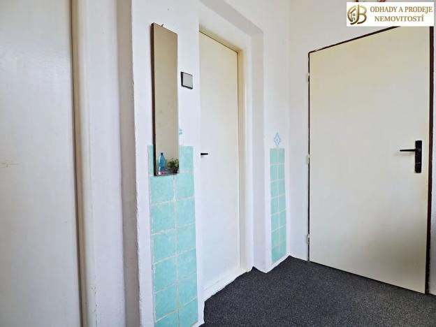 Prodej bytu 2+1, Libina, 100 m2