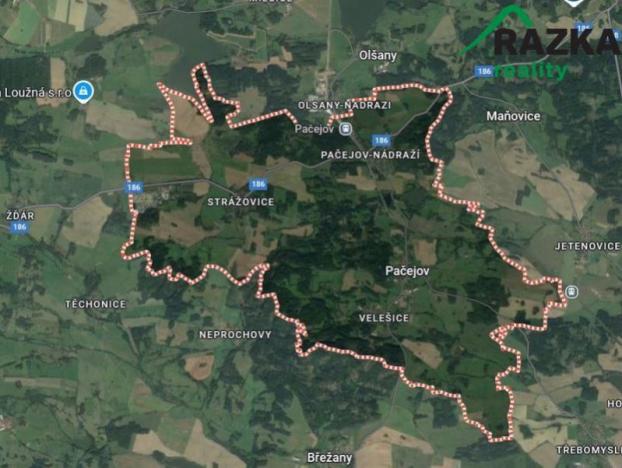 Prodej pole, Pačejov, 11218 m2