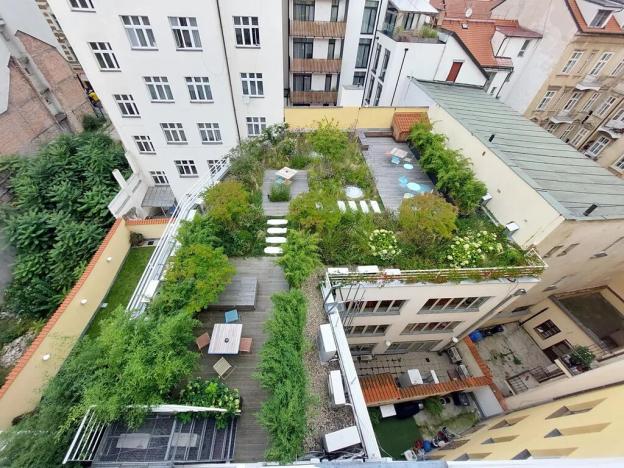 Pronájem kanceláře, Praha - Nové Město, Truhlářská, 20 m2