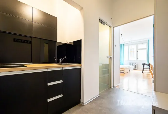 Pronájem bytu 1+kk, Praha - Staré Město, Dlouhá, 30 m2