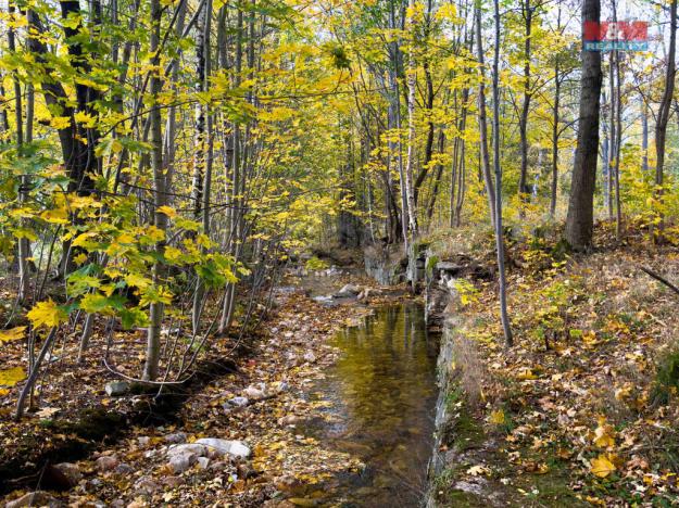 Prodej rybníku, Nové Město pod Smrkem, 39493 m2