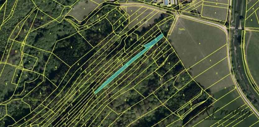 Prodej lesa, Bohuslavice nad Vláří, 1663 m2