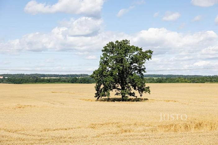 Prodej bytu 5+kk, Libníč, 124 m2
