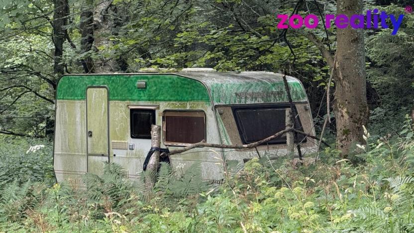 Prodej louky, Vejprty, 3188 m2