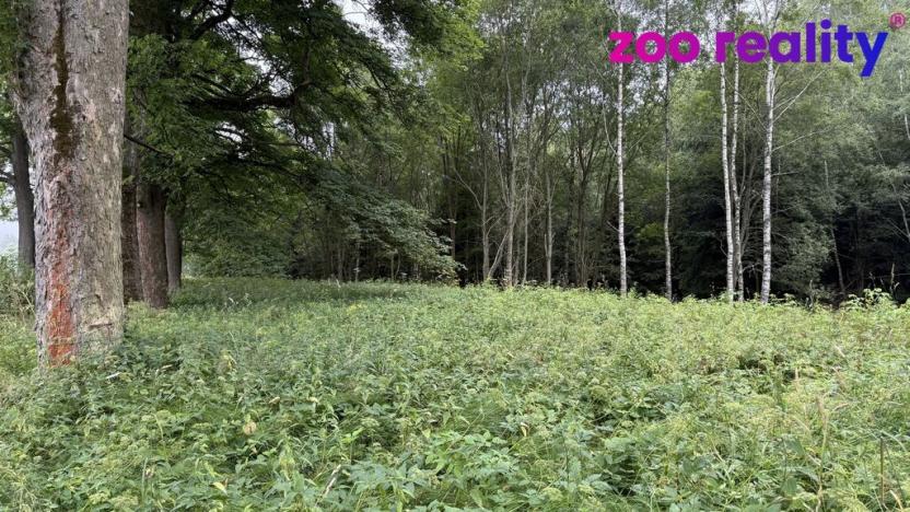 Prodej louky, Vejprty, 3188 m2