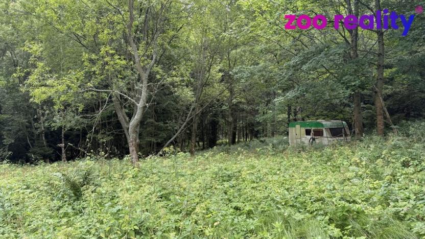 Prodej louky, Vejprty, 3188 m2