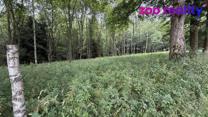 Prodej louky, Vejprty, 3188 m2