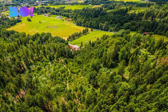 Prodej lesa, Písek, 12430 m2