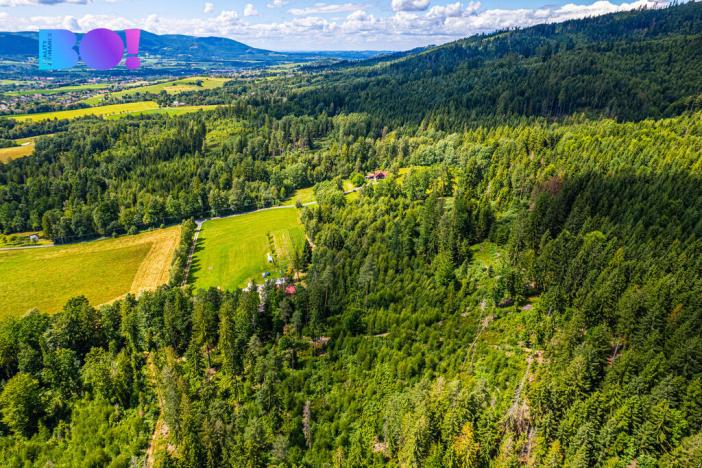 Prodej lesa, Písek, 12430 m2