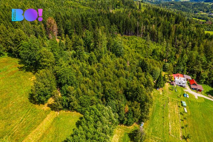 Prodej lesa, Písek, 12430 m2