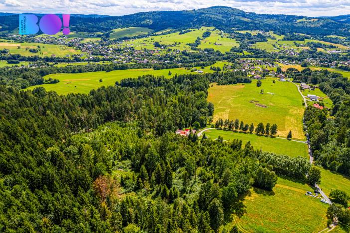 Prodej lesa, Písek, 12430 m2