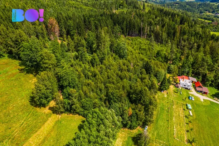 Prodej lesa, Písek, 12430 m2