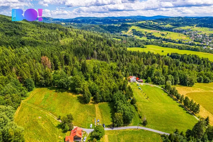 Prodej lesa, Písek, 12430 m2
