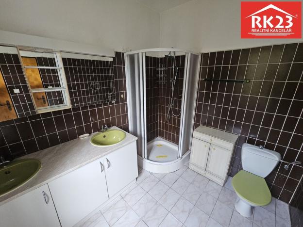 Prodej rodinného domu, Bor - Ostrov, 249 m2