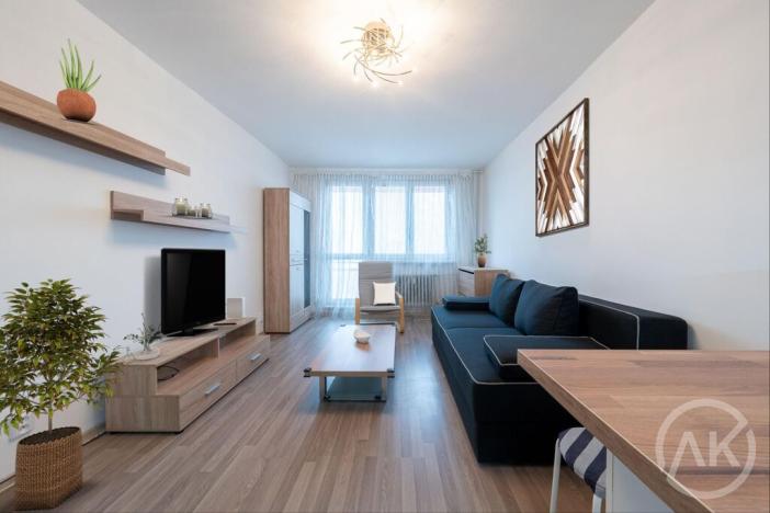 Pronájem bytu 1+kk, Ostrava - Moravská Ostrava, Gen. Píky, 28 m2