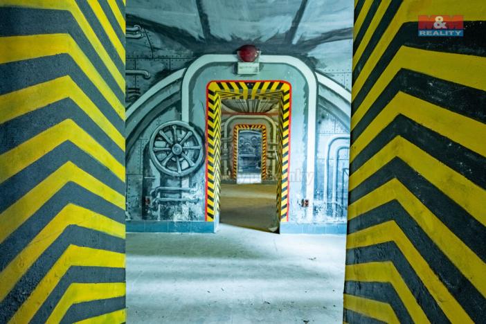 Prodej obchodního prostoru, Strakonice - Strakonice II, Komenského, 800 m2