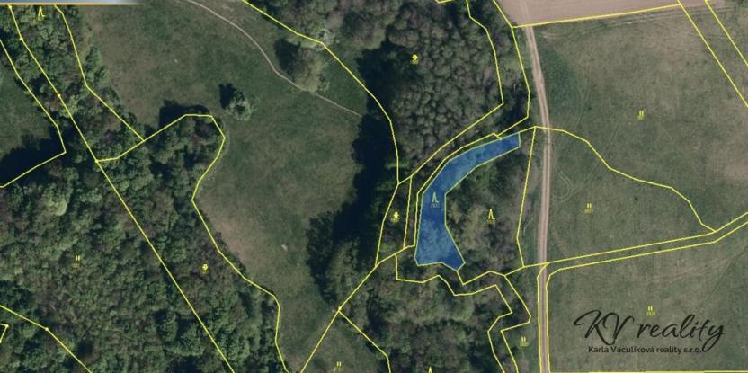 Prodej lesa, Hřivínův Újezd, 3317 m2