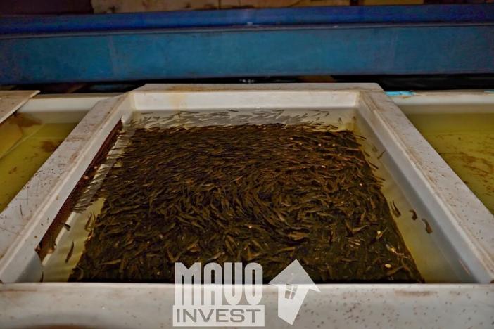 Prodej zemědělského objektu, Bohdalovice, 559 m2