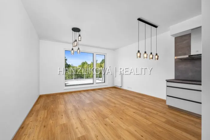 Pronájem bytu 3+kk, České Budějovice - České Budějovice 2, Branišovská, 75 m2