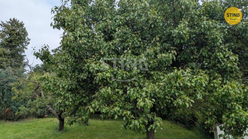 Prodej pozemku pro bydlení, Šenov u Nového Jičína, 1663 m2