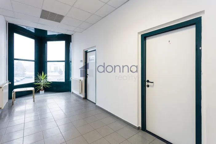 Pronájem kanceláře, Praha, Jana Růžičky, 42 m2