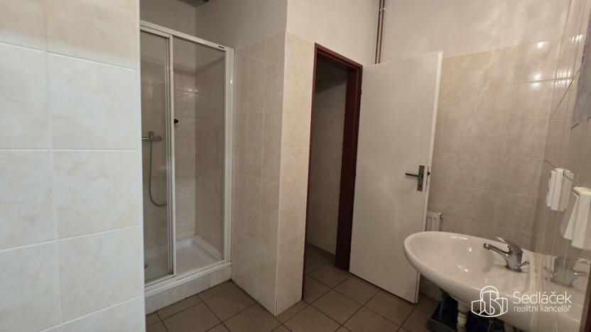 Pronájem obchodního prostoru, Sokolov, Trocnovská, 876 m2