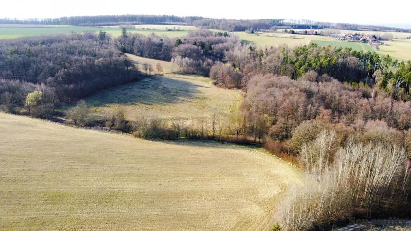 Prodej pozemku pro bydlení, Morašice, 1075 m2