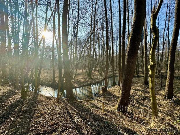 Prodej pozemku pro bydlení, Morašice, 3579 m2