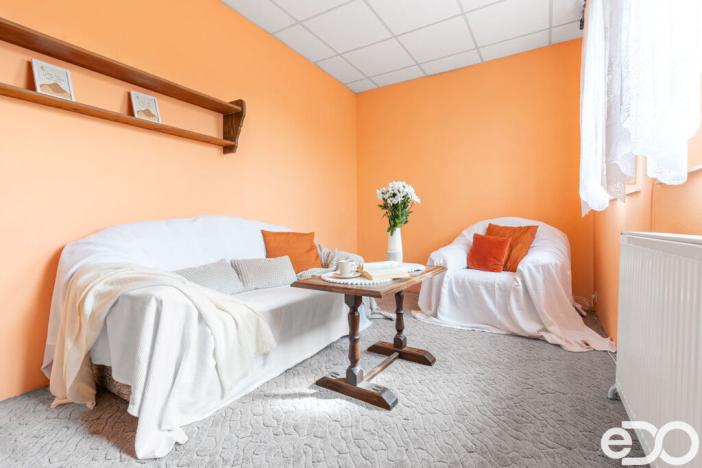 Prodej vícegeneračního domu, Mladá Boleslav, Šafaříkova, 380 m2