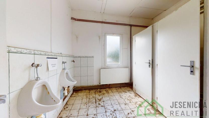 Prodej ubytování, Česká Ves, Polská, 306 m2