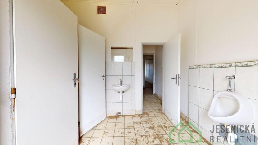 Prodej ubytování, Česká Ves, Polská, 306 m2
