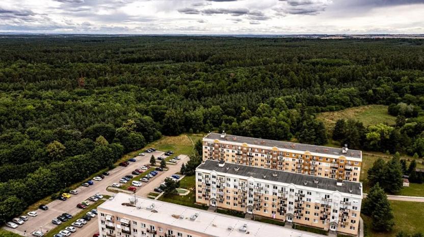 Prodej bytu 2+1, Luštěnice, 50 m2