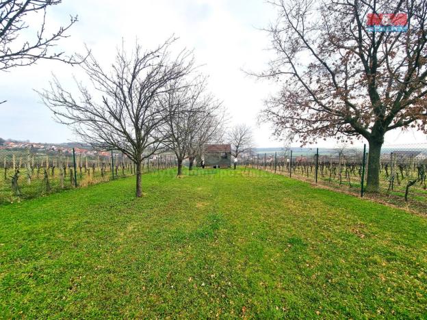 Prodej pole, Starý Poddvorov, 4096 m2