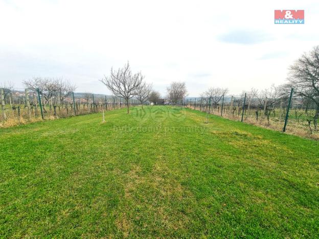 Prodej pole, Starý Poddvorov, 4096 m2