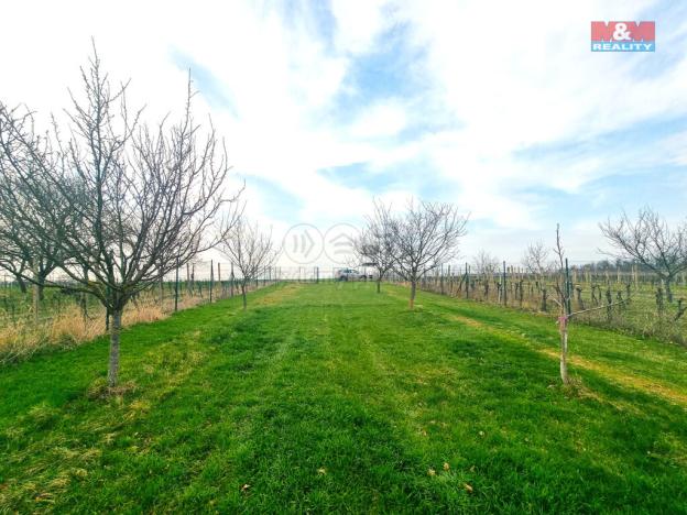 Prodej pole, Starý Poddvorov, 4096 m2