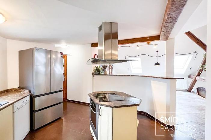 Prodej bytu 5+kk, Plzeň, Martinská, 245 m2