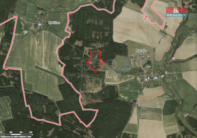 Prodej lesa, Bernartice - Zběšice, 3179 m2