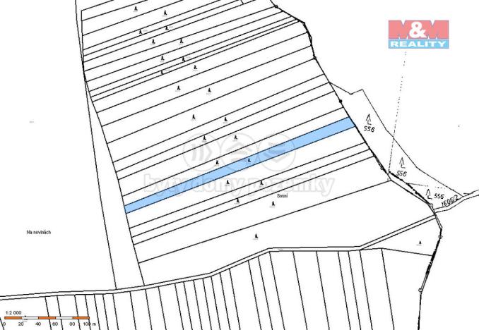 Prodej lesa, Bernartice - Zběšice, 3179 m2
