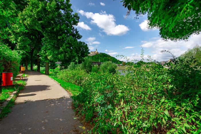 Prodej bytu 2+1, Ústí nad Labem - Střekov, Kozinova, 54 m2