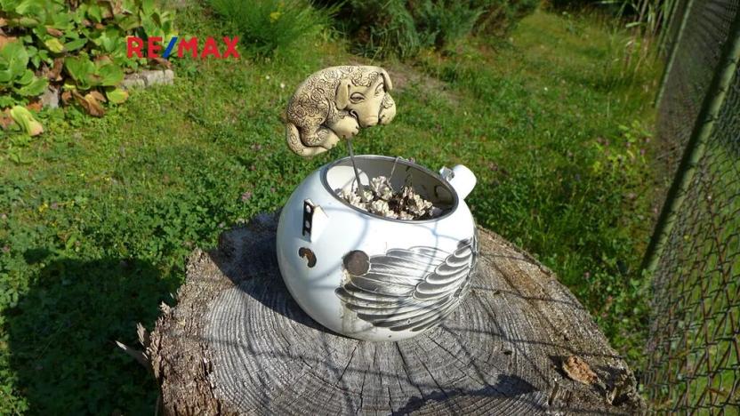 Prodej chaty, Stříbrná Skalice, 45 m2