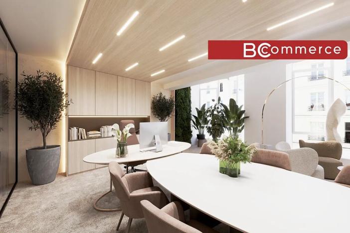 Pronájem kanceláře, Brno, Masarykova, 505 m2