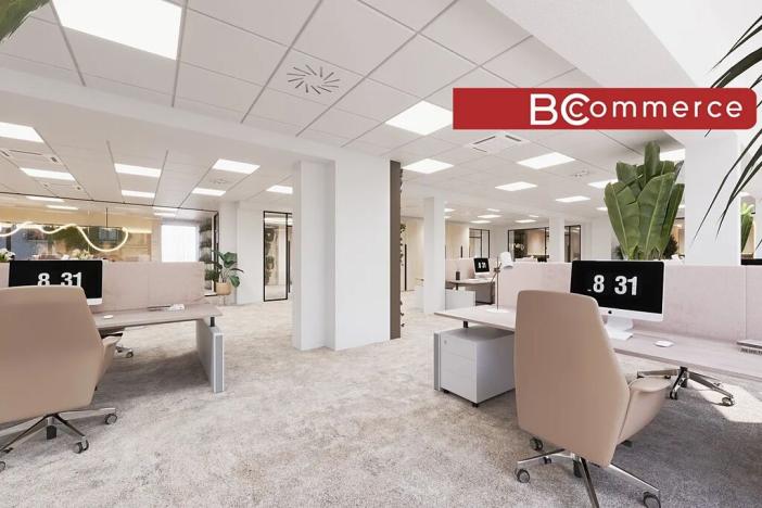 Pronájem kanceláře, Brno, Masarykova, 505 m2