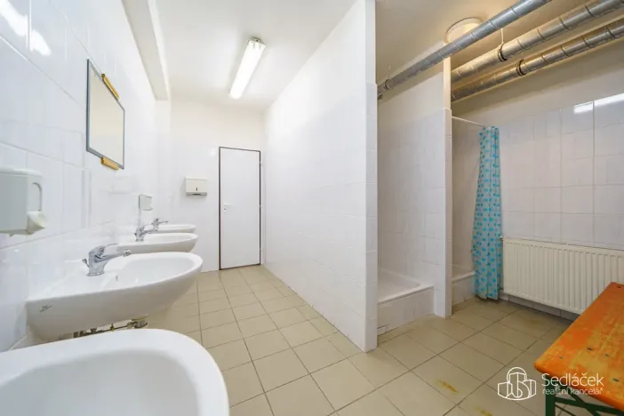 Prodej výrobních prostor, Krásno, Kladenská, 4900 m2