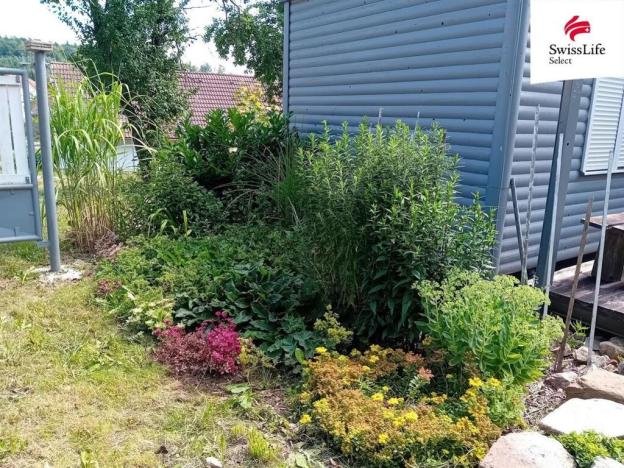 Prodej pozemku pro bydlení, Horní Cerekev - Těšenov, 3877 m2