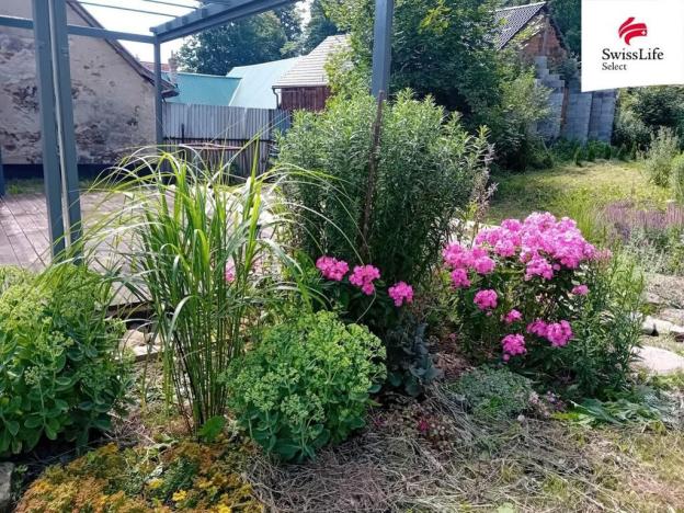 Prodej pozemku pro bydlení, Horní Cerekev - Těšenov, 3877 m2