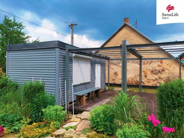 Prodej pozemku pro bydlení, Horní Cerekev - Těšenov, 3877 m2